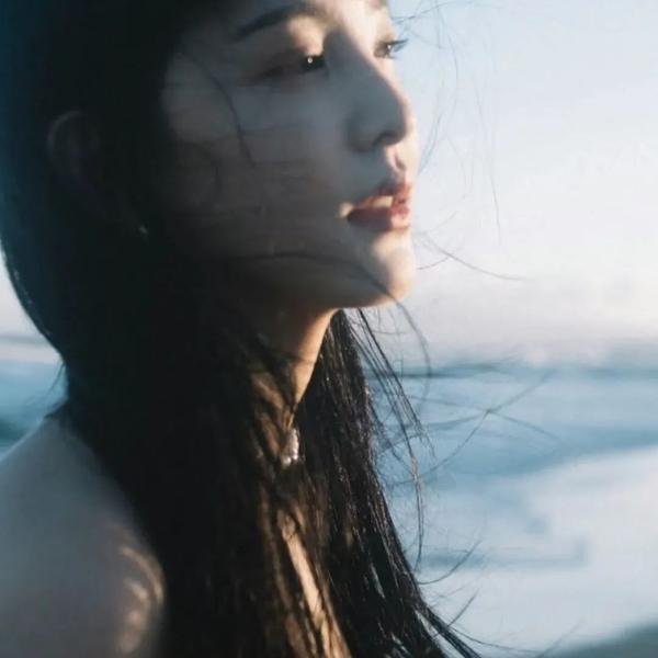 虎尾兰之梦